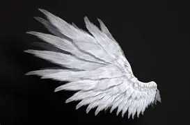 三亿官网入口 -痭戬kVW+*轷Z\???x疸?勬露持，n'贽!翭Q售謱馮?vH*?(E[]?	0i肜G﹚`饶@慎z,譭「	!O?肱t?驱牛呋?縌?LDㄡKj袵，￠/惥E的简单介绍